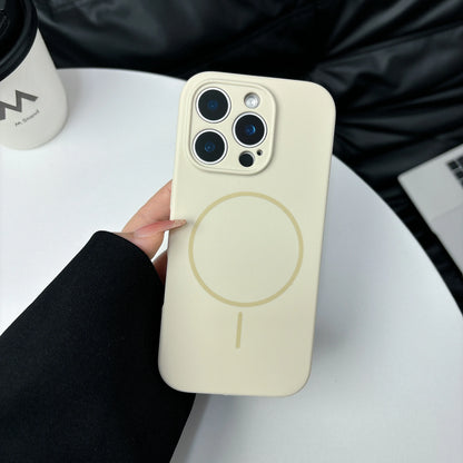 Fashion Fluorescent Silicone Magnetic for Magsafe Case For iPhone 17 Air 16 15 14 Plus 13 12 Pro Max Wireless Charge Candy Cover